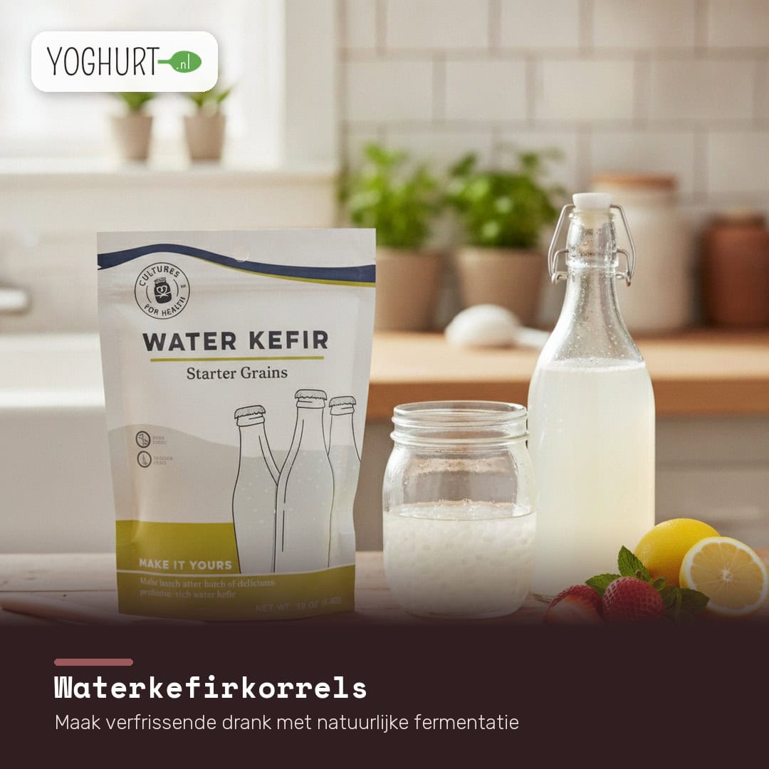Wasserkefir ansetzen mit Zuckerwasser