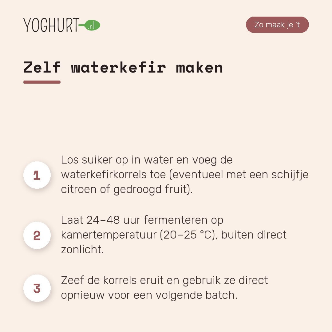 Wasserkefir-Körner nach der Fermentation